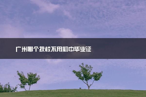 广州哪个技校不用初中毕业证