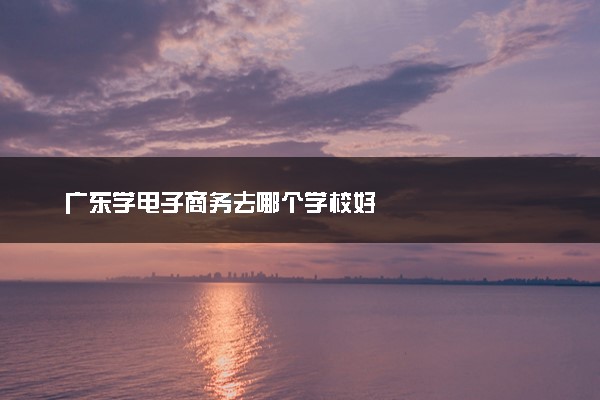 广东学电子商务去哪个学校好