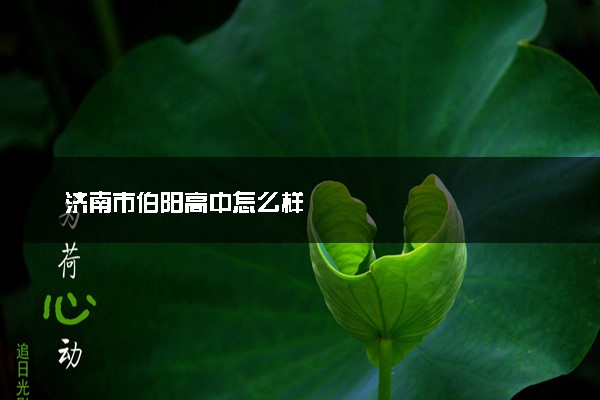 济南市伯阳高中怎么样