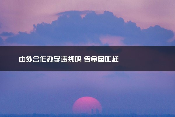 中外合作办学违规吗 含金量咋样