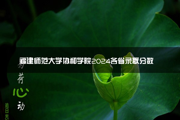 福建师范大学协和学院2024各省录取分数线及最低位次是多少