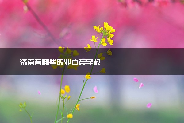 济南有哪些职业中专学校