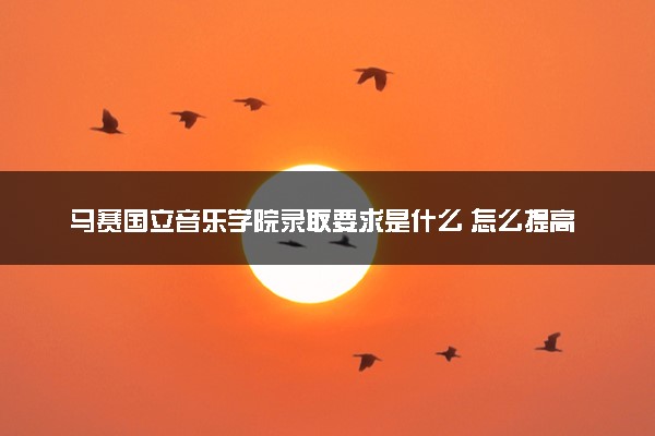 马赛国立音乐学院录取要求是什么 怎么提高录取率