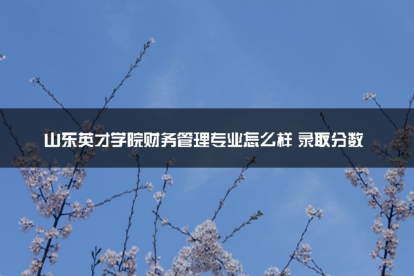 山东英才学院财务管理专业怎么样 录取分数线多少
