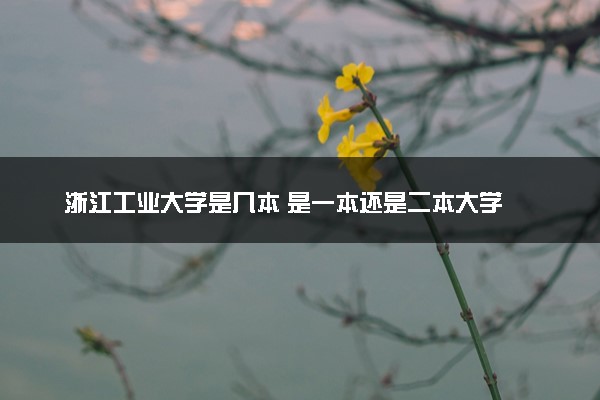 浙江工业大学是几本 是一本还是二本大学