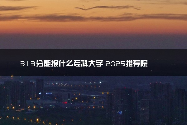313分能报什么专科大学 2025推荐院校