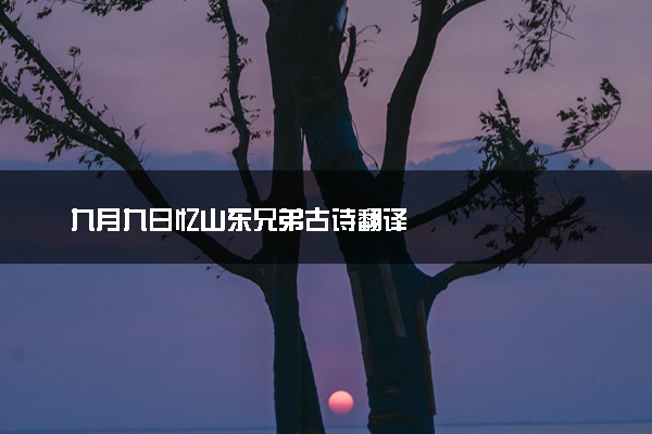 九月九日忆山东兄弟古诗翻译
