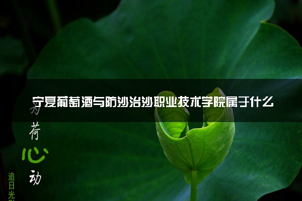 宁夏葡萄酒与防沙治沙职业技术学院属于什么档次 学校好不好
