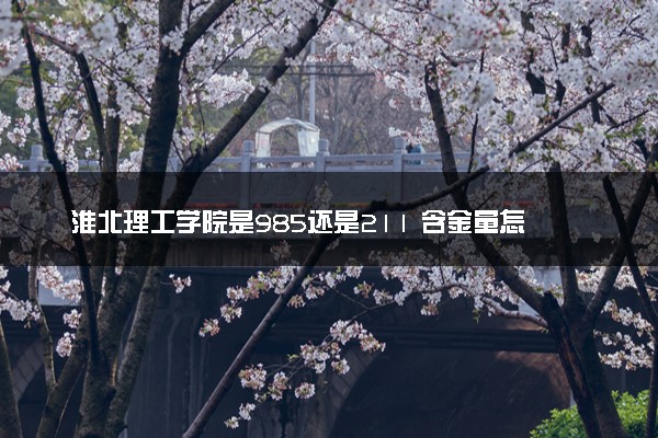 淮北理工学院是985还是211 含金量怎么样