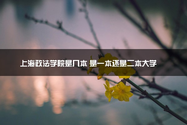 上海政法学院是几本 是一本还是二本大学