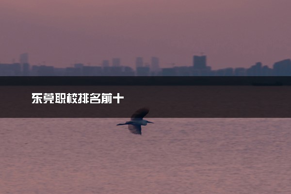 东莞职校排名前十