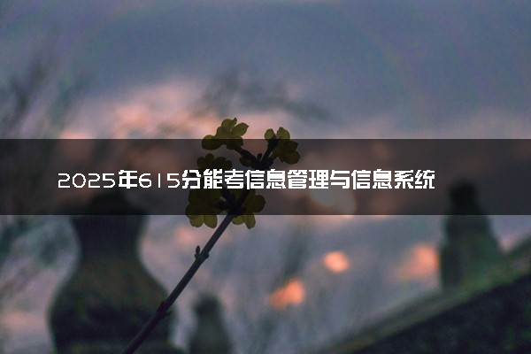 2025年615分能考信息管理与信息系统专业吗 615分信息管理与信息系统专业大学推荐