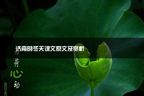 济南的冬天课文原文及赏析