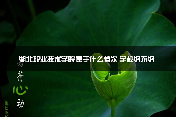 湖北职业技术学院属于什么档次 学校好不好