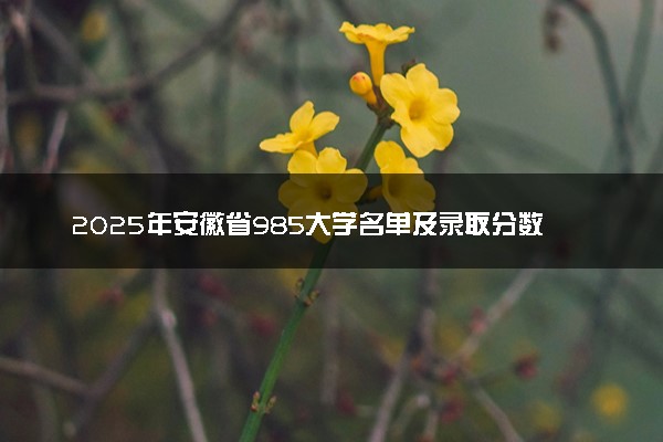 2025年安徽省985大学名单及录取分数线 全国排名第几