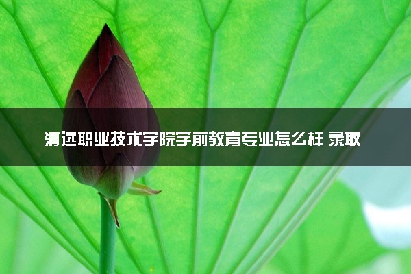 清远职业技术学院学前教育专业怎么样 录取分数线多少