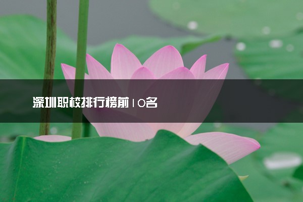 深圳职校排行榜前10名