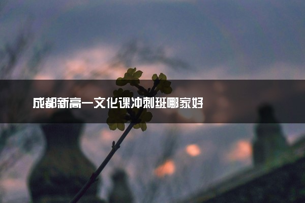 成都新高一文化课冲刺班哪家好
