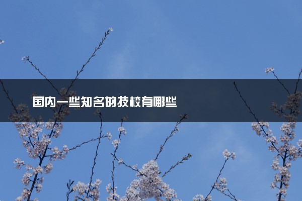 国内一些知名的技校有哪些