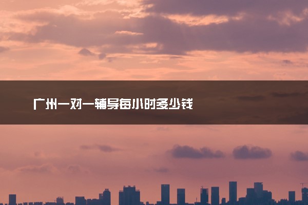 广州一对一辅导每小时多少钱