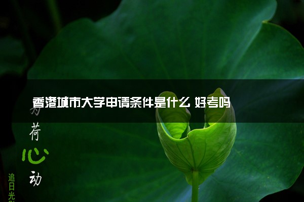 香港城市大学申请条件是什么 好考吗
