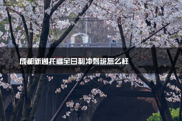 成都新通托福全日制冲刺班怎么样