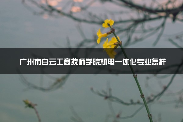 广州市白云工商技师学院机电一体化专业怎样