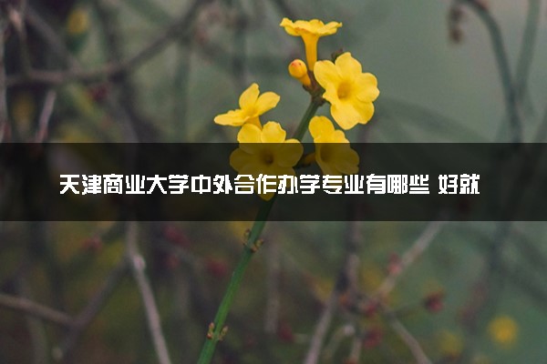 天津商业大学中外合作办学专业有哪些 好就业吗