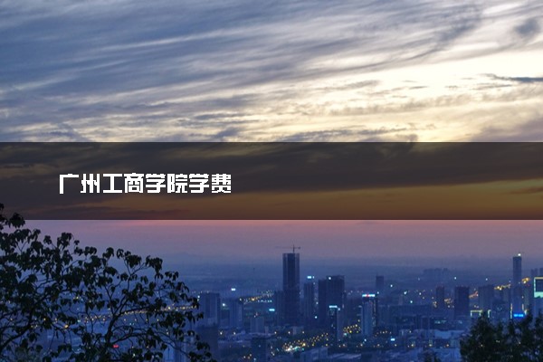 广州工商学院学费