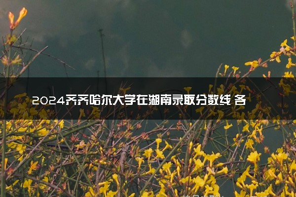 2024齐齐哈尔大学在湖南录取分数线 各专业分数及位次