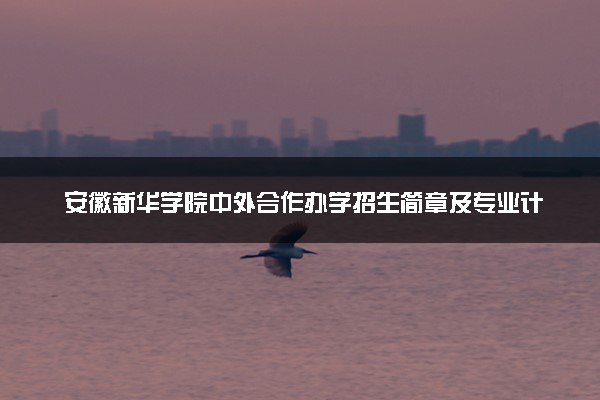 安徽新华学院中外合作办学招生简章及专业计划（2025参考）
