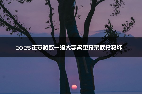 2025年安徽双一流大学名单及录取分数线 全国排名第几