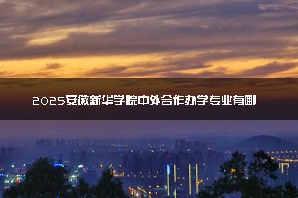 2025安徽新华学院中外合作办学专业有哪些 代码是什么