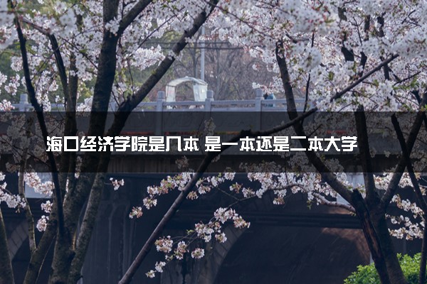 海口经济学院是几本 是一本还是二本大学