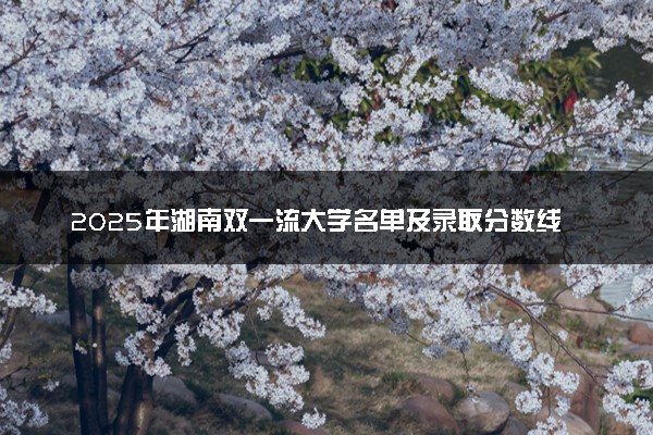 2025年湖南双一流大学名单及录取分数线 全国排名第几