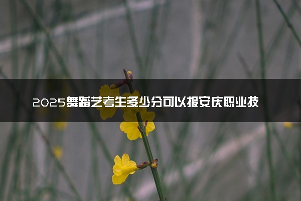 2025舞蹈艺考生多少分可以报安庆职业技术学院