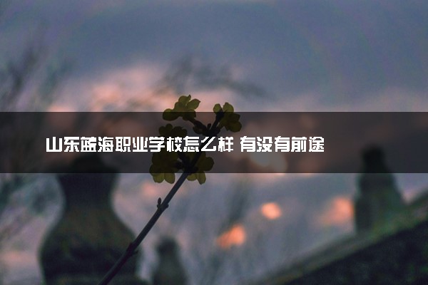 山东蓝海职业学校怎么样 有没有前途