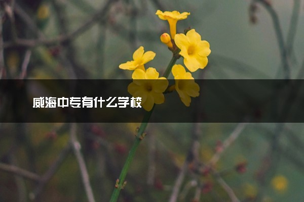 威海中专有什么学校