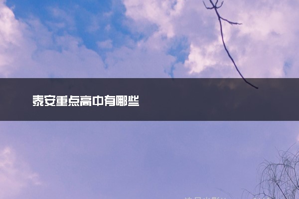 泰安重点高中有哪些