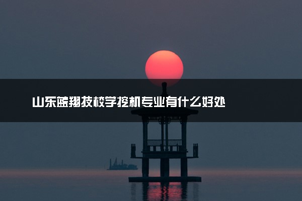 山东蓝翔技校学挖机专业有什么好处