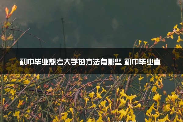 初中毕业想考大学的方法有哪些 初中毕业直接报读大学学校推荐