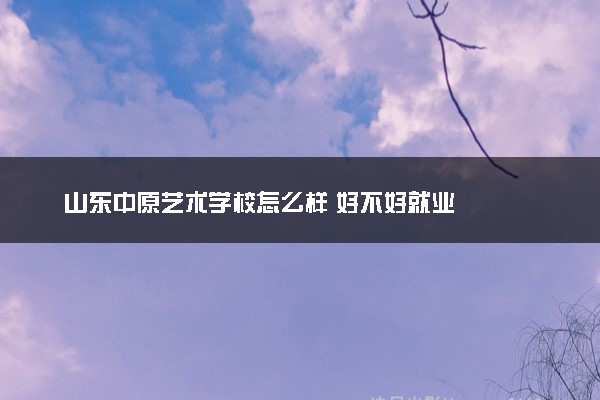 山东中原艺术学校怎么样 好不好就业