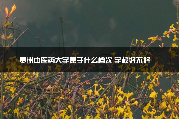 贵州中医药大学属于什么档次 学校好不好