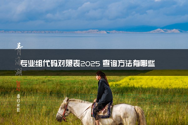 专业组代码对照表2025 查询方法有哪些