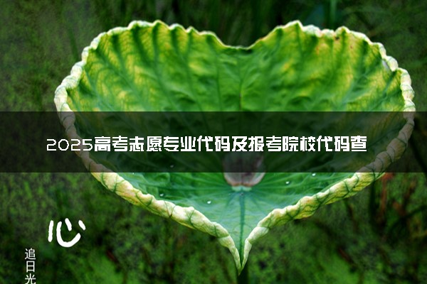 2025高考志愿专业代码及报考院校代码查询方法及入口是什么