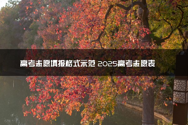 高考志愿填报格式示范 2025高考志愿表样本