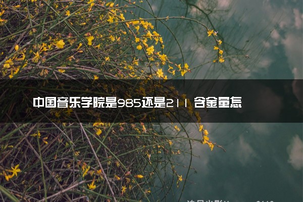 中国音乐学院是985还是211 含金量怎么样