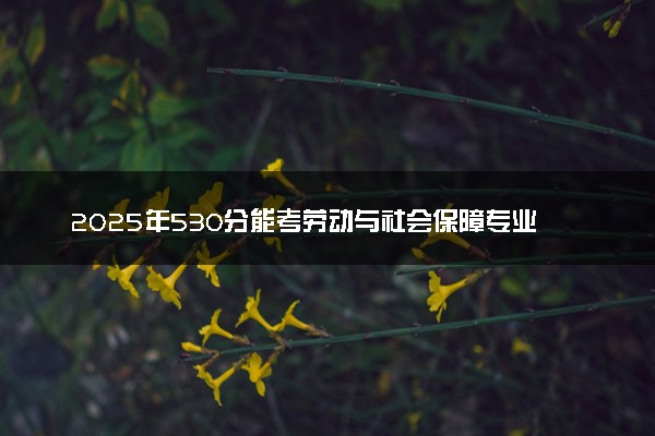 2025年530分能考劳动与社会保障专业吗 530分劳动与社会保障专业大学推荐