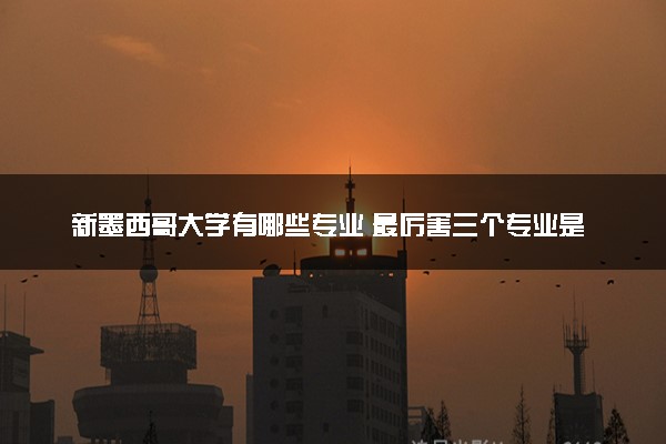 新墨西哥大学有哪些专业 最厉害三个专业是什么