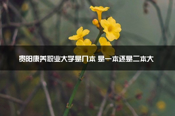 贵阳康养职业大学是几本 是一本还是二本大学